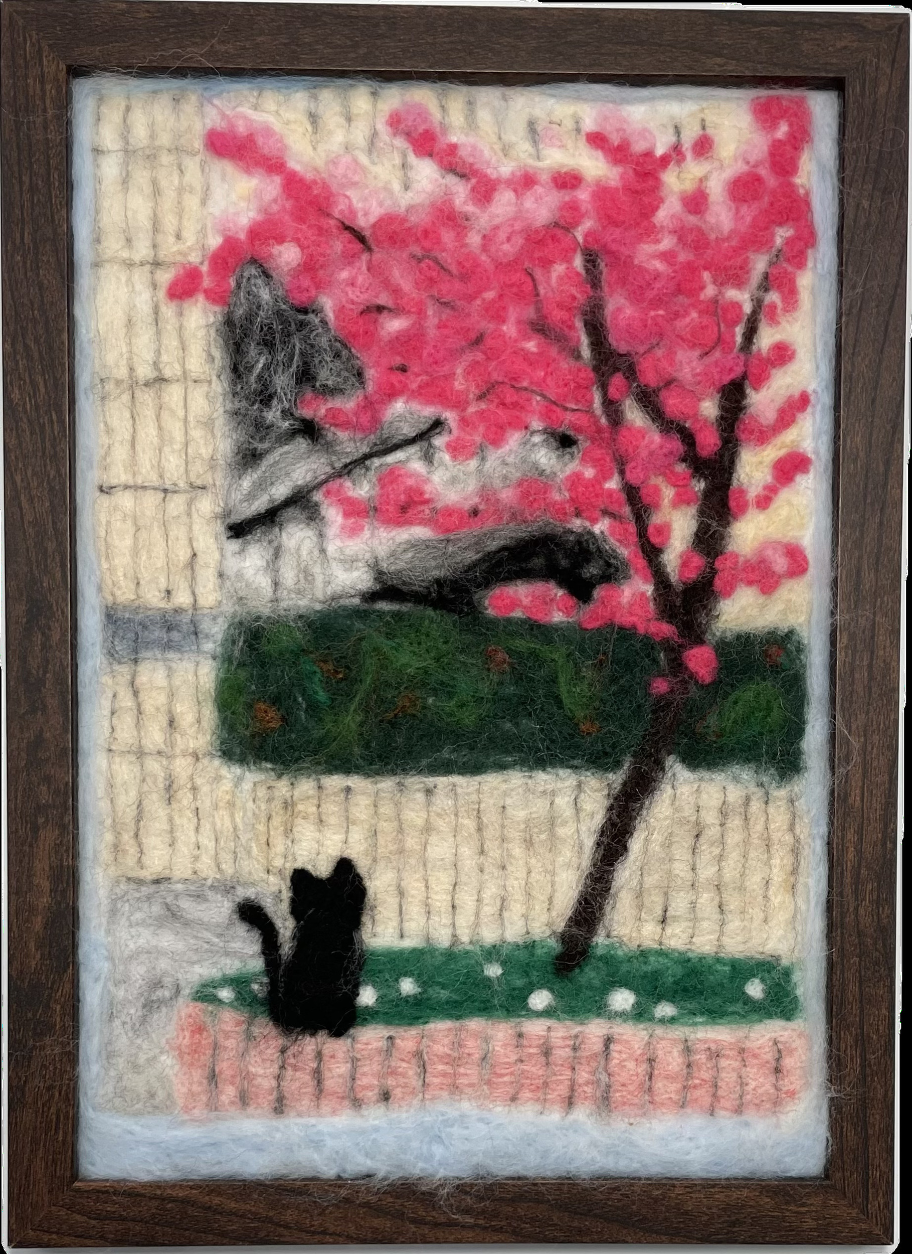 10櫻花和貓